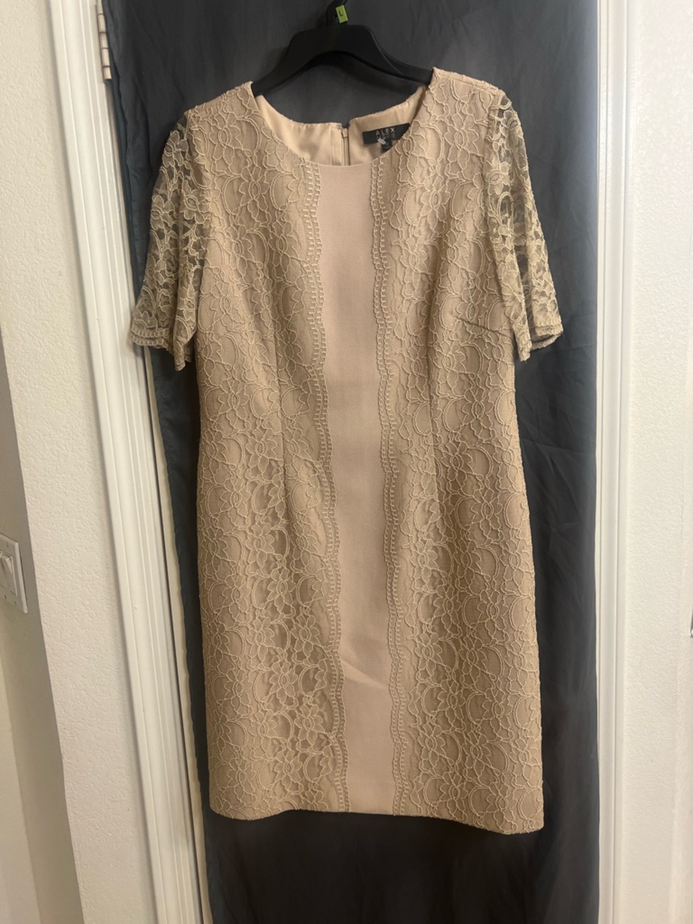 New without Tag Alex Marie Lace Sheath short sleeve knee length beige Dress 12
